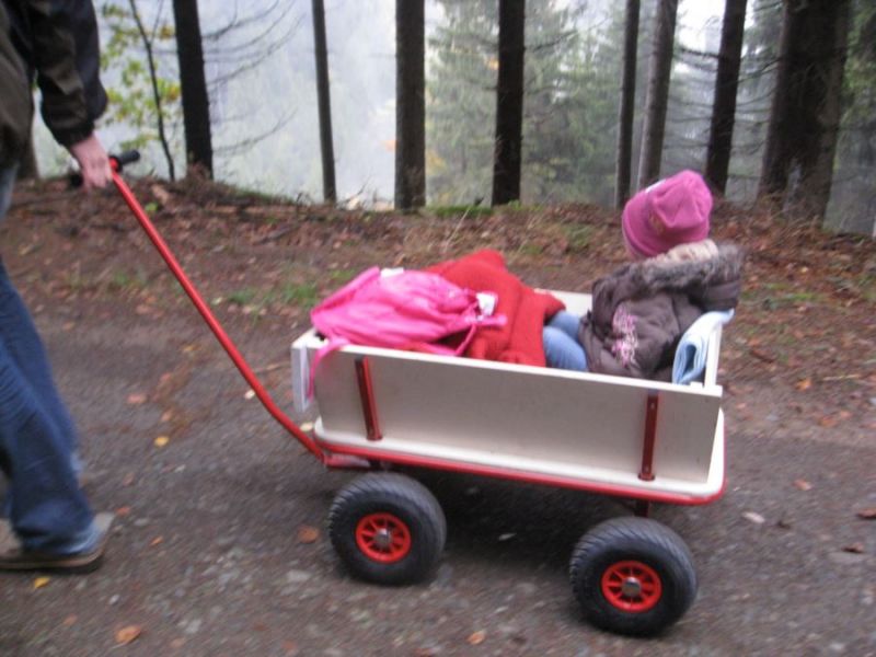 Herbstwanderung 2013_25