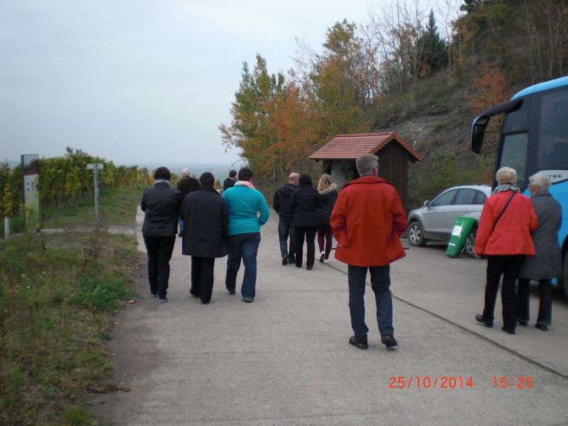 Weinfahrt 2014_13